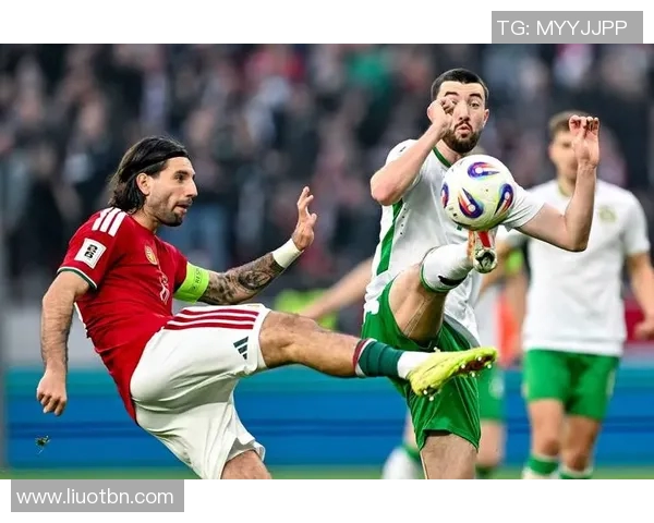 爱沙尼亚与匈牙利足球赛精彩比分揭晓双方表现分析与赛后点评