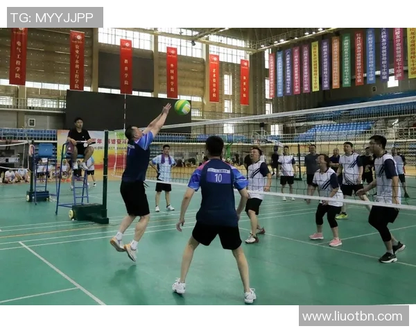 专访吴静：探寻排球背后的成功秘诀与奋斗历程