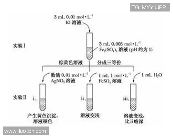 成都足球队的运营体系与战术创新探讨及其对足球发展的影响