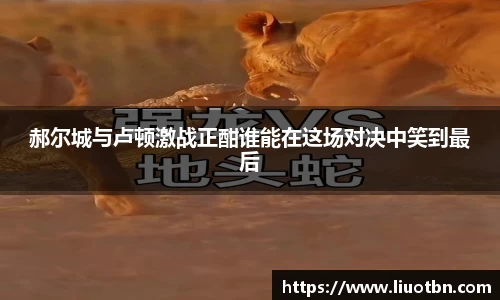 IM电竞·(中国)