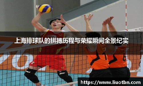 上海排球队的拼搏历程与荣耀瞬间全景纪实