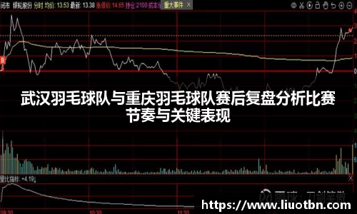 武汉羽毛球队与重庆羽毛球队赛后复盘分析比赛节奏与关键表现