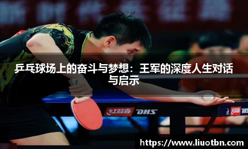 im电竞·电子竞技平台